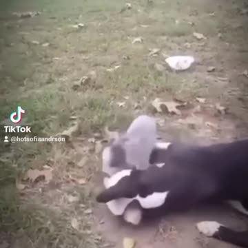 "Mommy & Me Playtime"