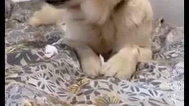 I am so cute!