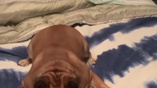 Sherri Tredway- When you’ve been gone for too long and the boy has to show off for attention