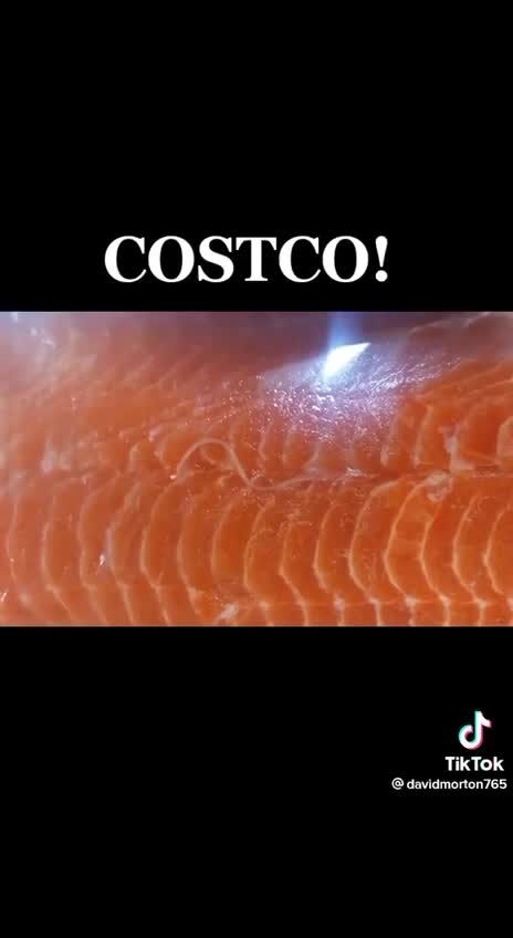 Double Check Triple Check Yo Meat