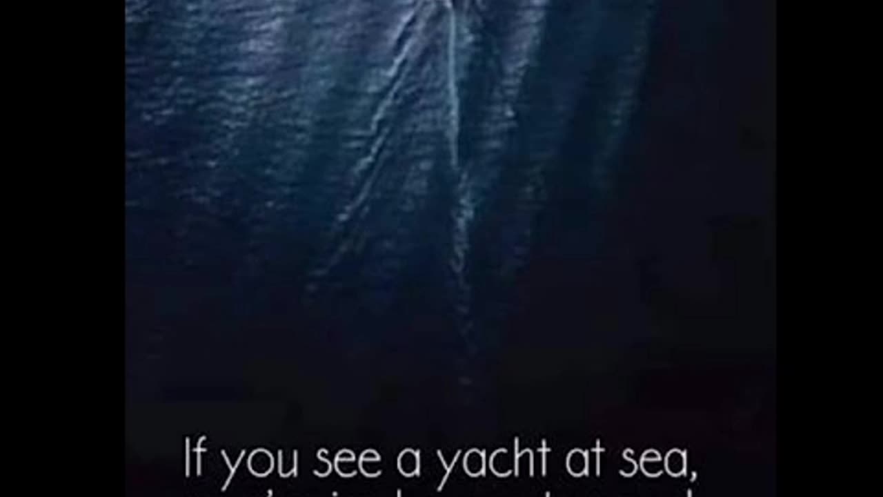 Yacht?🛥