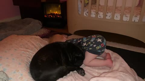 BEST BUDDIES SETTLING IN FOR THE NIGHT//