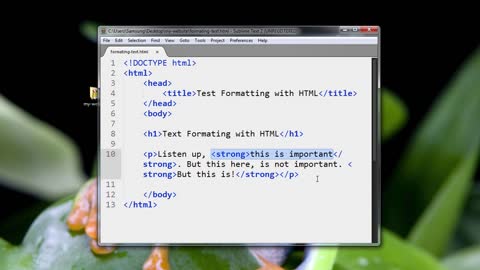 HTML5_PRO_ch5-l11-text-formatting-strong-720 (720p)