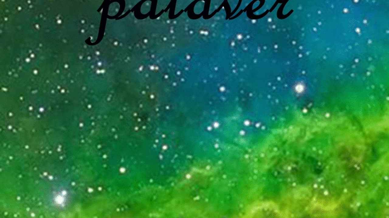 Hinterlander | "Palaver"