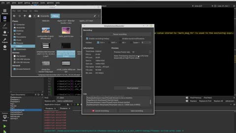 Muilti-Camera Player on Linux