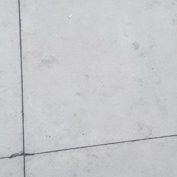 😻OMG My Talented Cats Playing Football😻