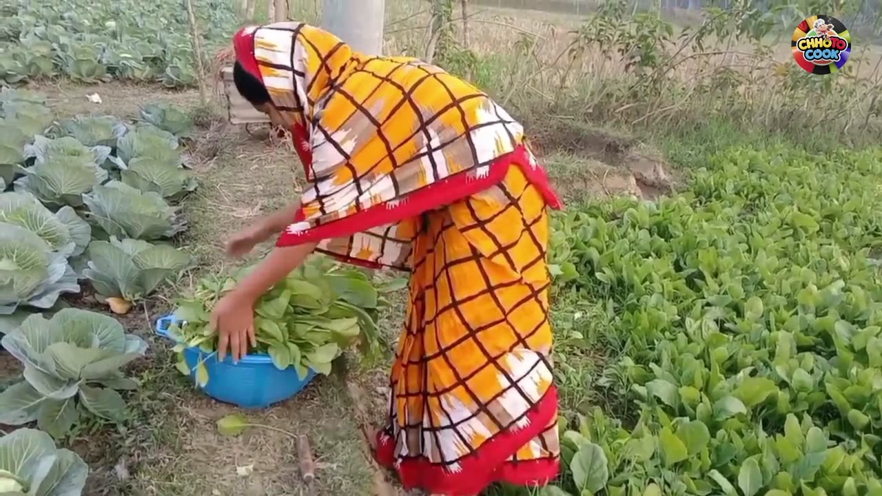 বাঁধাকপি ও ডিমের সুস্বাদু রান্না | Delicious Cabbage and Egg Stir-fry Recipe | CHHOTO COOK