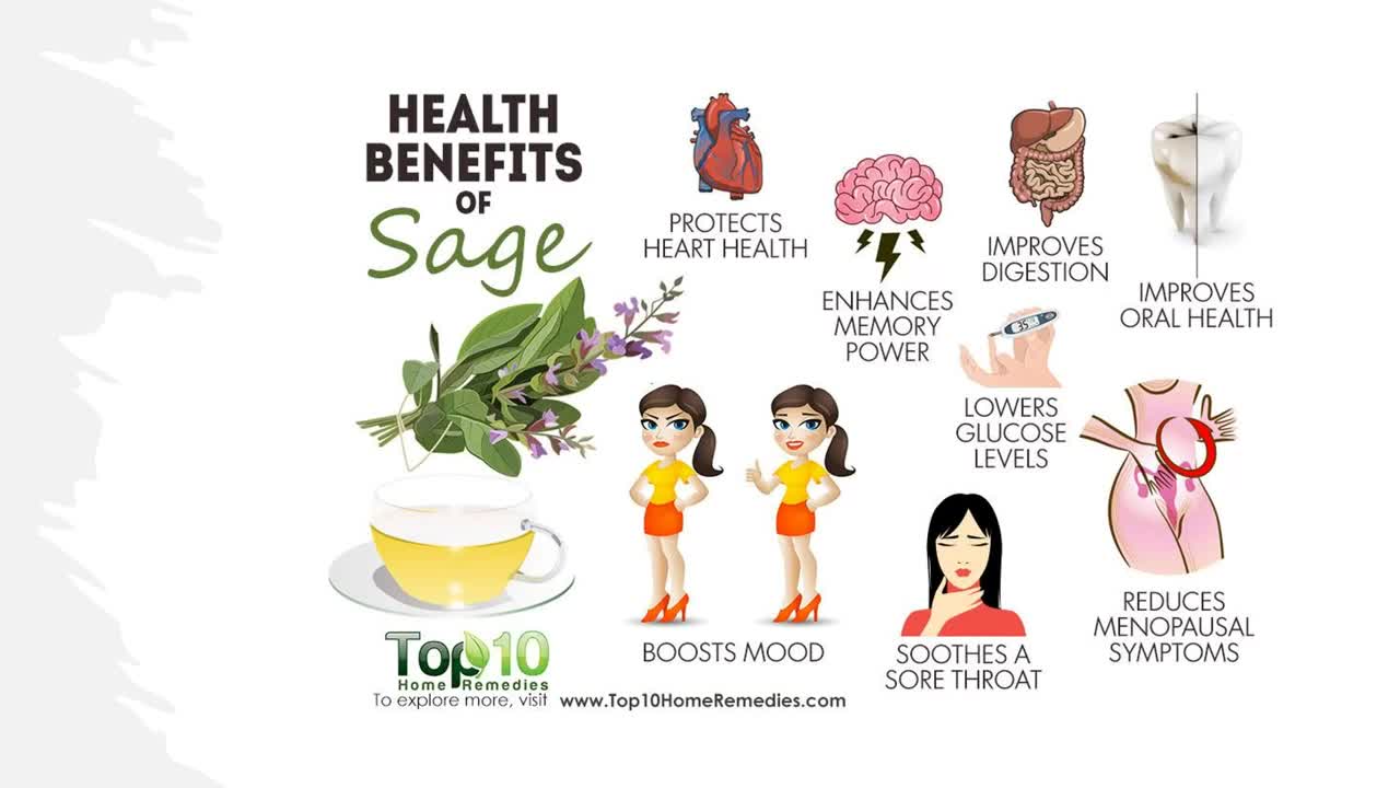 Health benefits and uses of sage