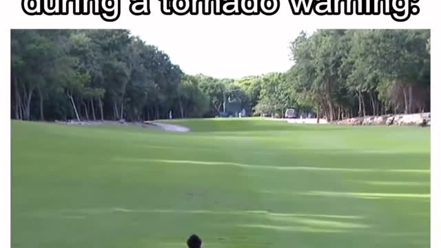 Monkey walking in ground