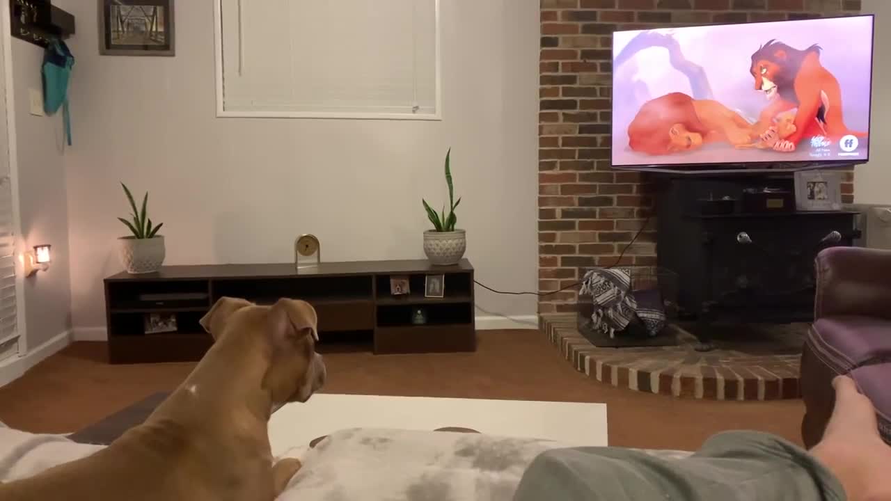Dog reaction..😉🙃