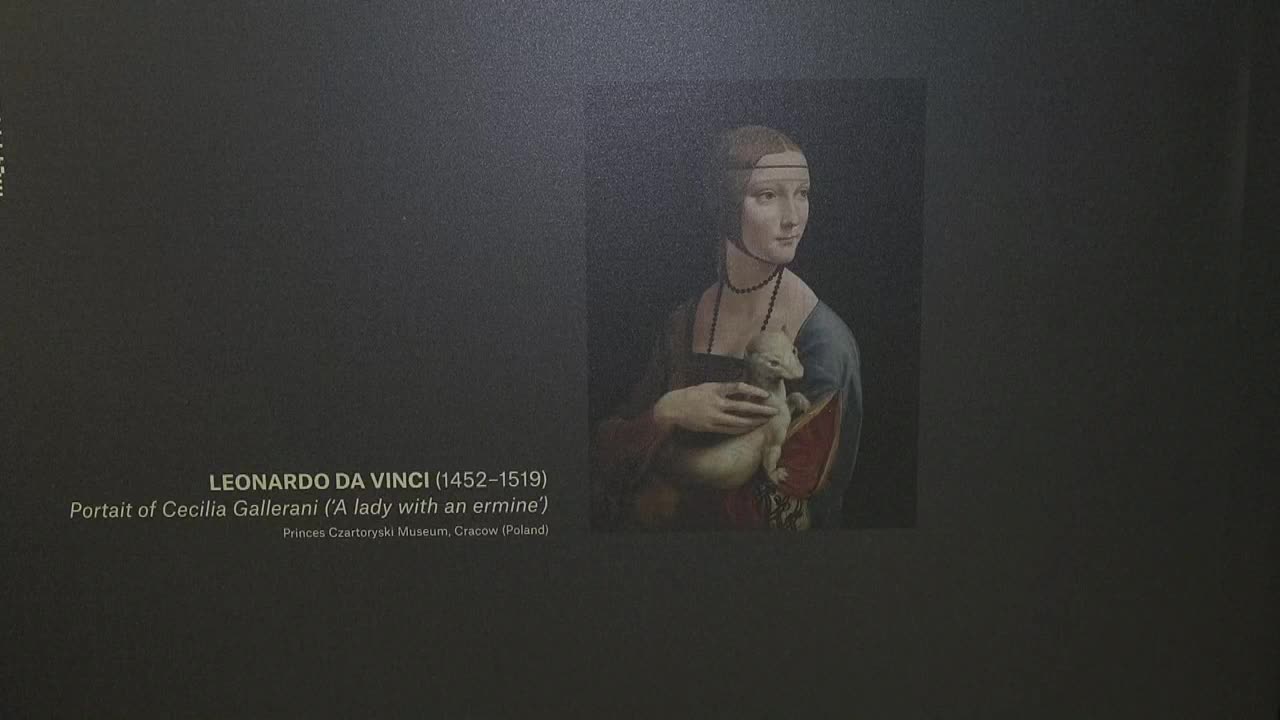 Subastan un boceto de Da Vinci por un récord de 10,3 millones de euros