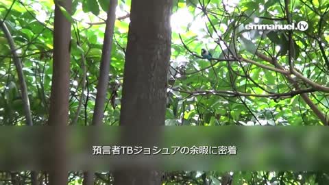 TB Joshua BEHIND THE SCENES!!! TBジョシュアの舞台裏！