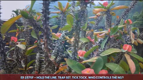 What is next ? 14.1.21