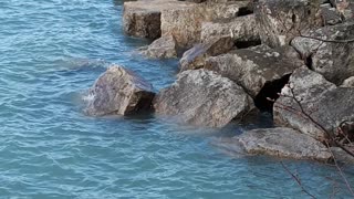 Ontario beach