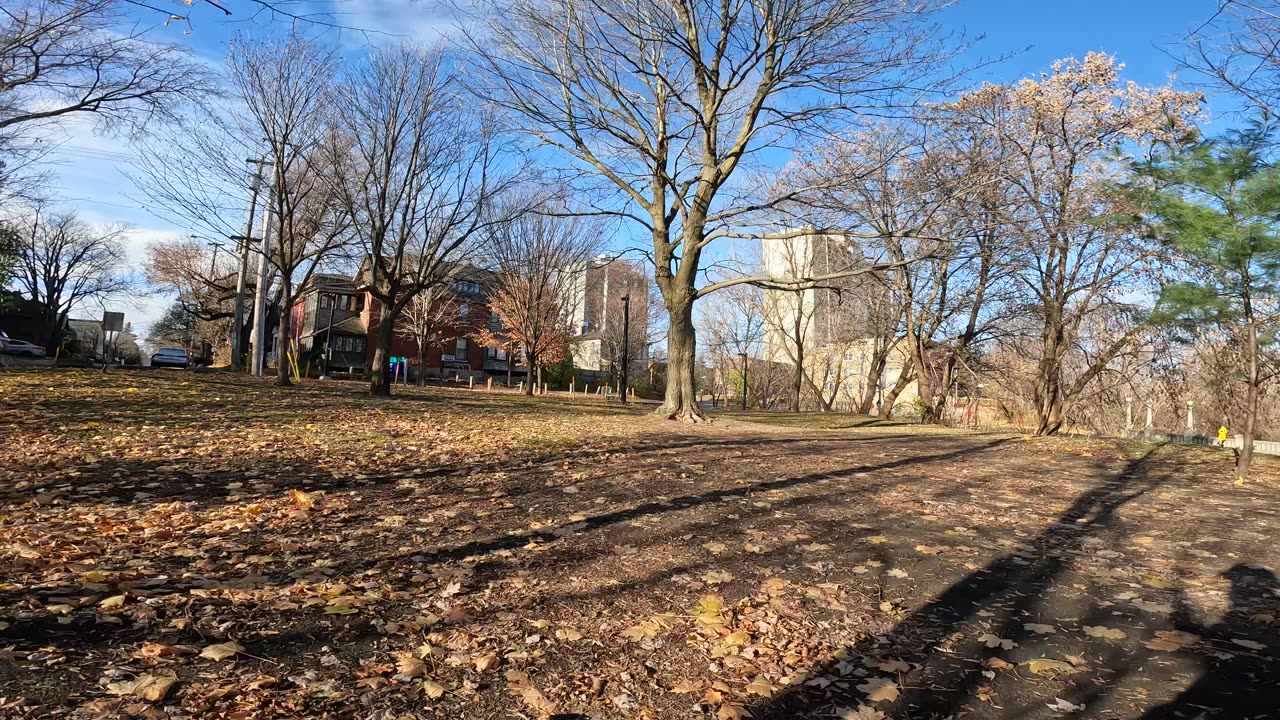 🚮 Helping Out @ Besserer Park In Ottawa 🍁 Canada 🏞️