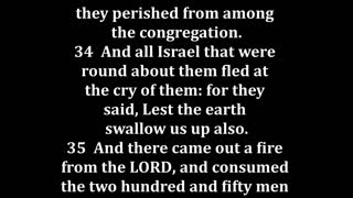 Numbers 16 King James version