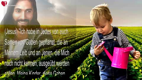 Zeichen & Wunder folgen Jenen, die glauben… Wässert eure Gaben ❤️ Liebesbrief von Jesus Christus