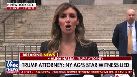 ALINA HABBA ON NEW YORK JUDGE/DA