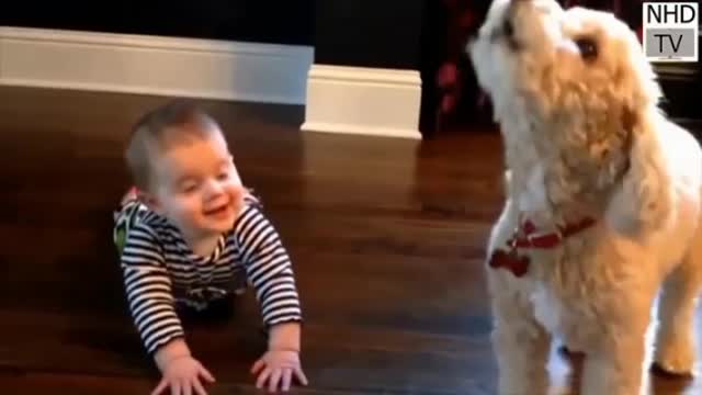 6 month Kids and puppies fun just amazing,best kids and dog fun ,cute baby dog fun with cute kids