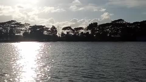 Nature,,nice looks❤️🇧🇩