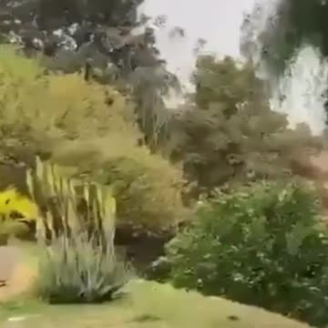 Συντριβή αεροπλάνου στη Βραζιλία: Γιατροί οι περισσότεροι επιβάτες