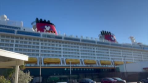 Disney Cruise January 2023 Vacation