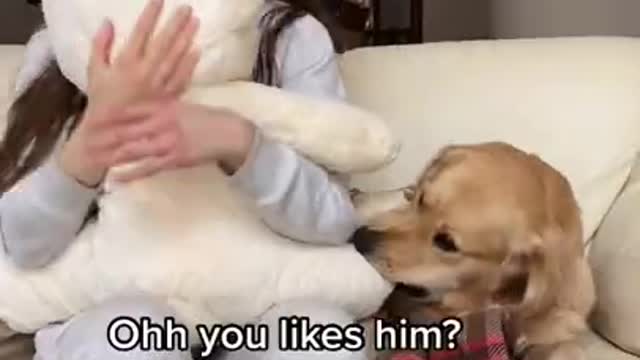 Hugging a Bear For Too Long _ Jealous Dog Reaction