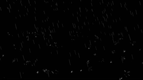 Rain (Trapcode Particular Preset + Footage) | Free After Effects Templates