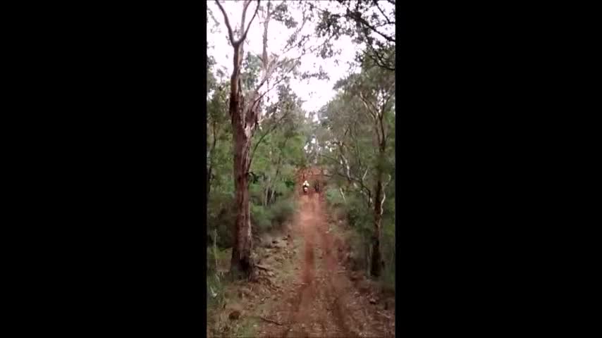 Kawasaki KLX650 and KLR 650 go up the summit.