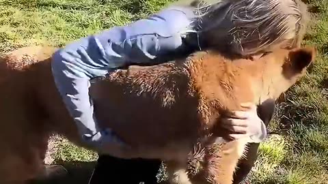 The Man Adopted an Abandoned Lion Cub