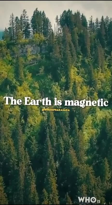 We are electromagnetic The Sun is electric The Earth is magnetic