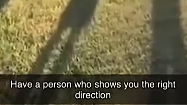 Have a person who shows you the right direction