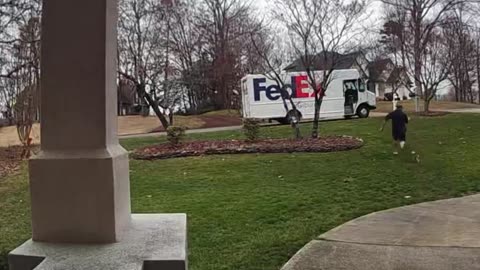 Little Dog Chases Away Mailman