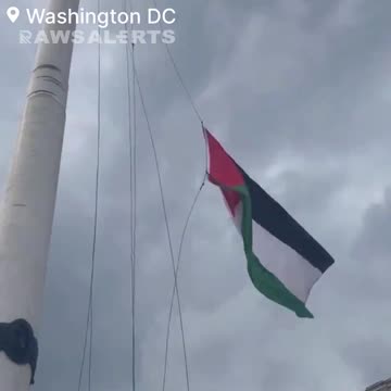 Absolute chaos is unfolding as Pro-Palestine protesters have taken down the three American flags...