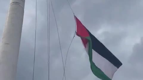 Absolute chaos is unfolding as Pro-Palestine protesters have taken down the three American flags...