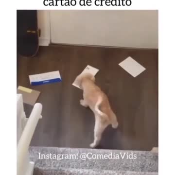 When the credit card bill arrives