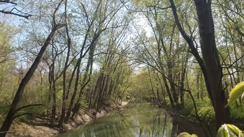 ASMR, Black River in Springtime