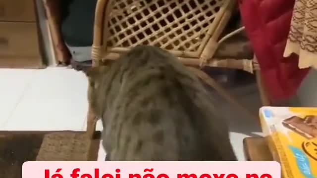 I already told you, don't move in my little house