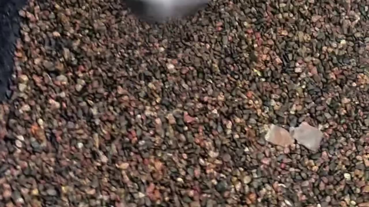 Firecracker Sends Metal Bowl Flying Right Into Noggin