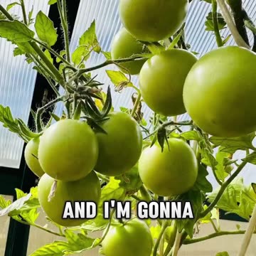 ✅ Starting your day with high-vibe thoughts and feelings can set you up for success. ⁣🏆⁣