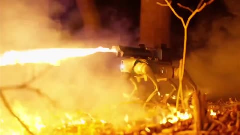 Juden-Jaeger Therminator ft. Rammstein