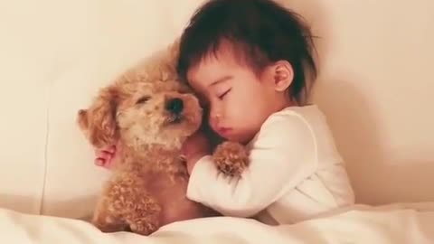 A dog that sleeps with its owner