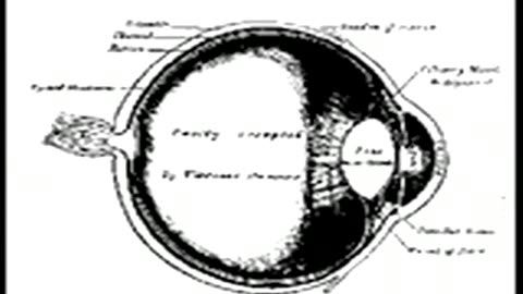 Sun Moon Star - Kurt Vonnegut