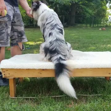 It's all in the game of Fetch part 2 clip 1