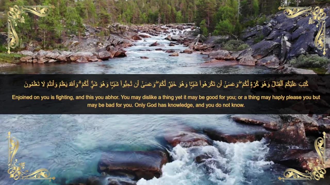 Quranic verses, مقتطفات قرانية, Beautiful Quran, Viral, تلاوة جميلة, القران الكريم, عبد الباسط ,