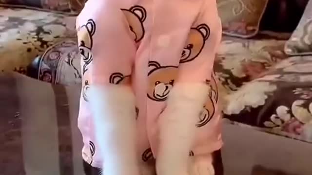 Lovely Cat