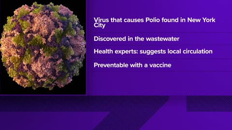 Polio detected in NYC's sewage, suggesting virus circulating