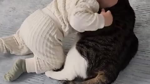 baby, cat, love