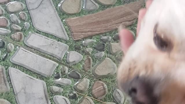 Bobby is sad for not letting out
