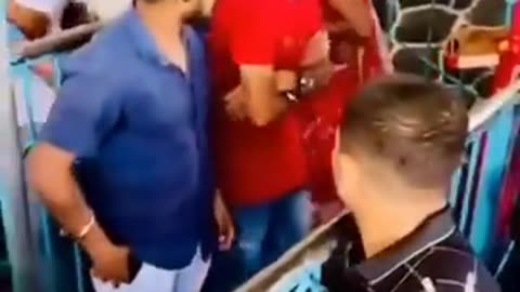 Funny videos